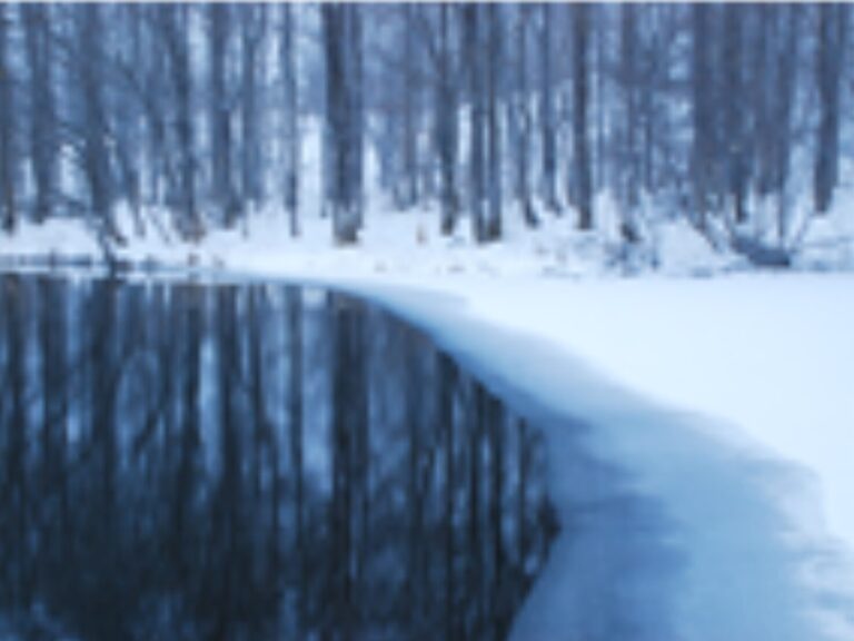 2026雪景色の裏磐梯写真撮影ガイドツアー2泊3日4食 ¥33,000